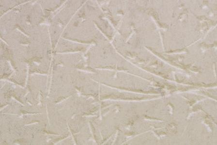 Notched And Scraped Coarse